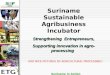Suriname Sustainable Agribusiness Incubator Strengthening  Entrepreneurs,