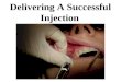Delivering A Successful Injection