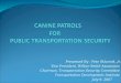 CANINE PATROLS                                FOR      PUBLIC TRANSPORTATION SECURITY