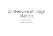 An Overview of Image Matting