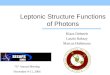 Leptonic Structure Functions of Photons