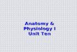 Anatomy & Physiology I Unit Ten