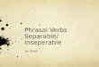 Phrasal Verbs Separable/  Inseperable