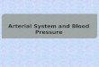 Arterial System and Blood Pressure