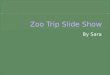 Zoo Trip Slide Show