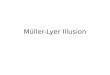 Müller-Lyer  Illusion