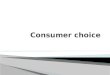 Consumer  choice