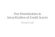 The Monetization & Securitization of Credit Scores