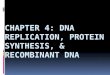 Chapter 4:  DNA  Replication, Protein synthesis, & Recombinant dNA