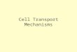 Cell Transport Mechanisms