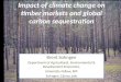 Impact of climate change on timber markets and global carbon sequestration