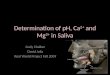 Determination of pH, Ca 2+  and Mg 2+  in Saliva