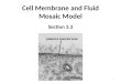 Cell Membrane and Fluid Mosaic Model
