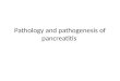 Pathology and pathogenesis of pancreatitis