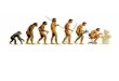 EVOLUTION BY  NATURAL  SELECTION