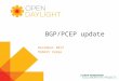 BGP/PCEP update
