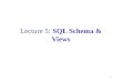 Lecture 5:  SQL Schema & Views