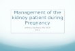 Management of the kidney patient during Pregnancy