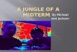 A Jungle of a Midterm