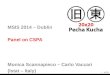MSIS 2014 – Dublin Panel on CSPA Monica  Scannapieco  – Carlo  Vaccari ( Istat  – Italy)