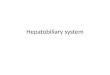 Hepatobiliary  system