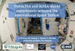 The ALTEA and ALTEA-Shield experiments onboard the International Space Station