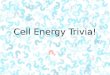 Cell Energy Trivia!