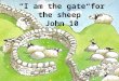 “I  am the gate for the  sheep” John 10