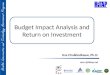 Budget Impact Analysis and Return on Investment