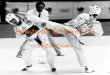 How to do Tae Kwon Do