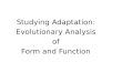 Studying Adaptation: Evolutionary Analysis of Form and Function