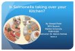Is Salmonella taking over your Kitchen?