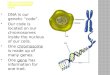 DNA is our genetic “code”