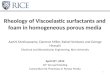 Rheology of Viscoelastic surfactants and foam in homogeneous porous media