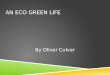 An Eco Green Life