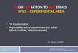 Hi gh  Rad iation to  Mat erials  WG3 – Experimental Area