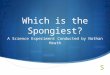 Which is the Spongiest?