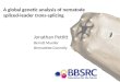 A global genetic analysis of nematode  spliced-leader  trans -splicing