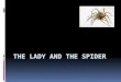 The Lady and the spider