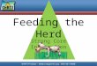 Feeding the Herd