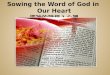 Sowing the Word of God in  Our  Heart 把神的話植入心裡