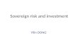 Sovereign risk and investment