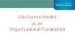 Life Course Model as  an  Organizational  Framework