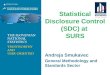 Statistical Disclosure Control (SDC) at  SURS