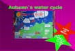Autumn`s water cycle