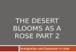 The Desert Blooms as a  Rose Part 2