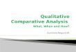 Qualitative Comparative Analysis