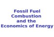 Fossil Fuel Combustion  and the  Economics of Energy