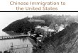 Chinese Immigration to the United States