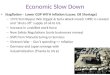 Economic Slow Down